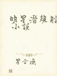 明星潜规则之皇 小说