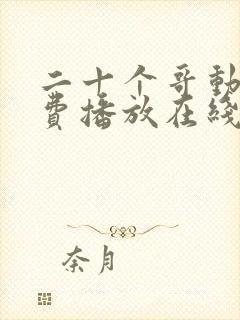 二十个哥动漫免费播放在线观看封面