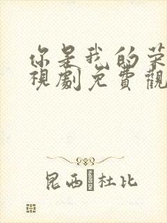 你是我的荣耀电视剧免费观看全集