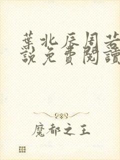 叶北辰周若妤小说免费阅读笔趣阁