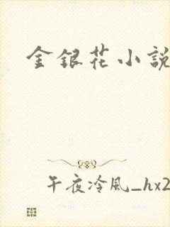 金银花小说乐可