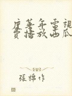 度华年电视剧免费播放西瓜网