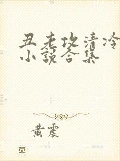 丑老攻清冷美人小说合集