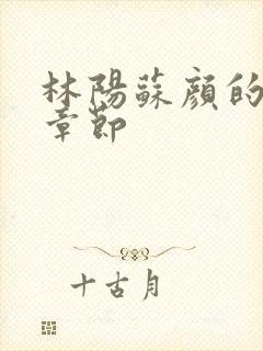 林阳苏颜的最新章节封面