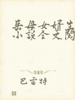 岳母女婿生孩子小说全文阅读封面