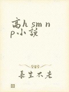 高h sm np小说封面