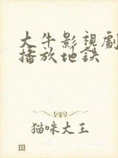 大牛影视剧免费播放地铁