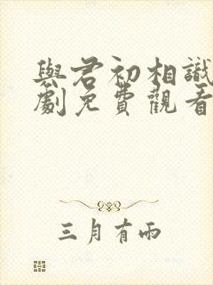 与君初相识电视剧免费观看完整版在线