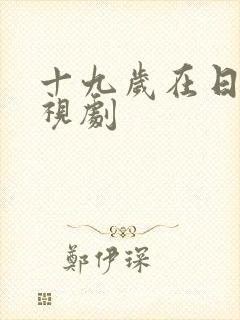 十九岁在日本电视剧封面