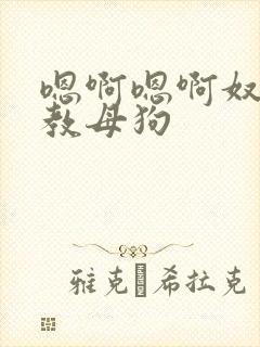 嗯啊嗯啊奴h调教母狗