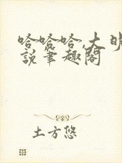 哈哈哈,大明小说笔趣阁封面