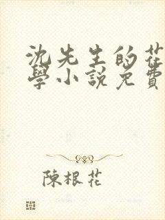 沈先生的花式教学小说免费