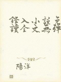 锋入小说免费阅读全文无弹窗