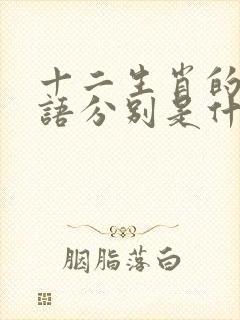 十二生肖的歇后语分别是什么封面