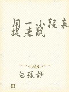 用一小段来写猫捉老鼠