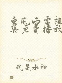 东风雨电视剧全集免费播放在线观看封面