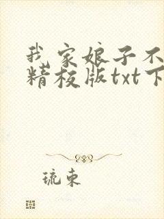 我家娘子不对劲精校版txt下载封面