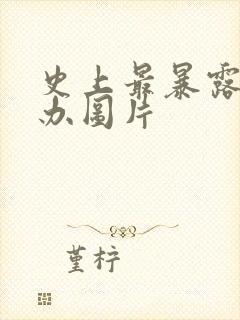 史上最暴露的手办图片