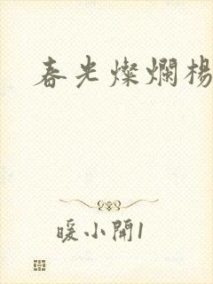 春光灿烂杨家将封面