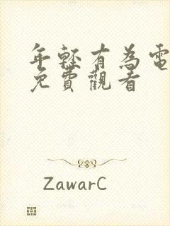 年轻有为电视剧免费观看