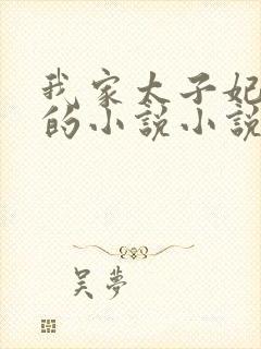 我家太子妃超凶的小说小说封面