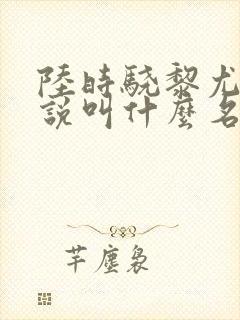 陆时骁黎尤笙小说叫什么名字