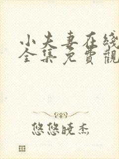 小夫妻在线观看全集免费观看高清