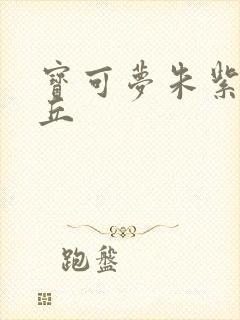 宝可梦朱紫皮卡丘