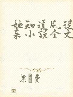 她知道风从哪里来小说全文免费阅读