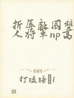 折辱敌国双性美人将军np高h封面