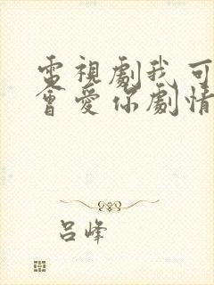 电视剧我可能不会爱你剧情介绍封面