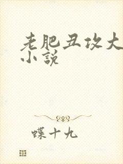 老肥丑攻大合集小说