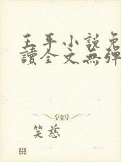 王平小说免费阅读全文无弹窗