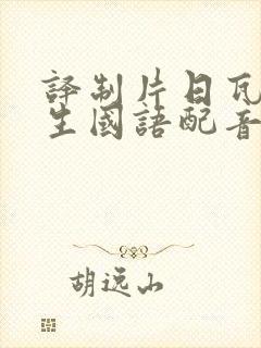 译制片日瓦戈医生国语配音