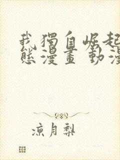 我独自崛起 动态漫画 动漫封面