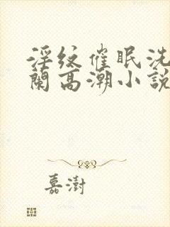 淫纹催眠洗脑小兰高潮小说封面