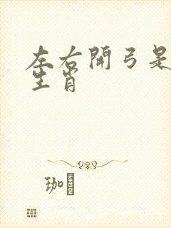 左右开弓是什么生肖