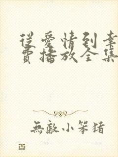 从爱情到幸福免费播放全集高清版电视剧
