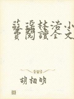 苏瑶林浩小说免费阅读全文最新章节