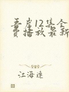 吾岸12集全免费播放最新章节封面