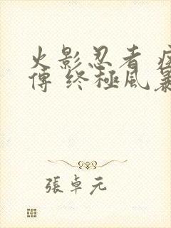 火影忍者 疾风传 终极风暴4