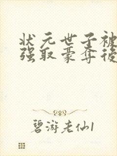 状元世子被皇上强取豪夺后免费阅读封面