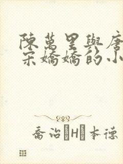 陈万里与唐嫣然宋娇娇的小说叫什么封面