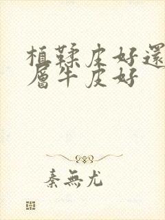 植鞣皮好还是头层牛皮好