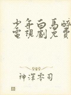 少年白马醉春风电视剧免费播放