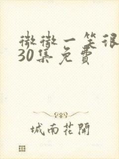 微微一笑很倾城30集免费