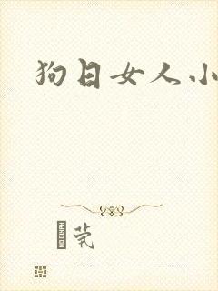 狗日女人小说封面