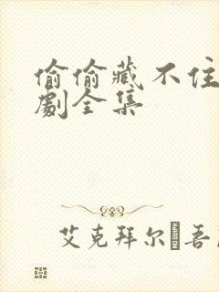 偷偷藏不住广播剧全集