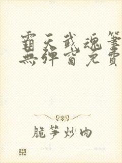 霸天武魂笔趣阁无弹窗免费阅读