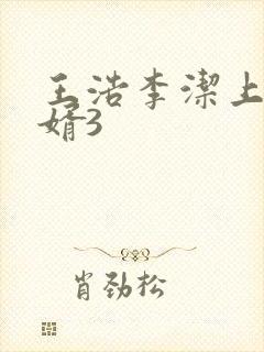 王浩李洁上门女婿3封面